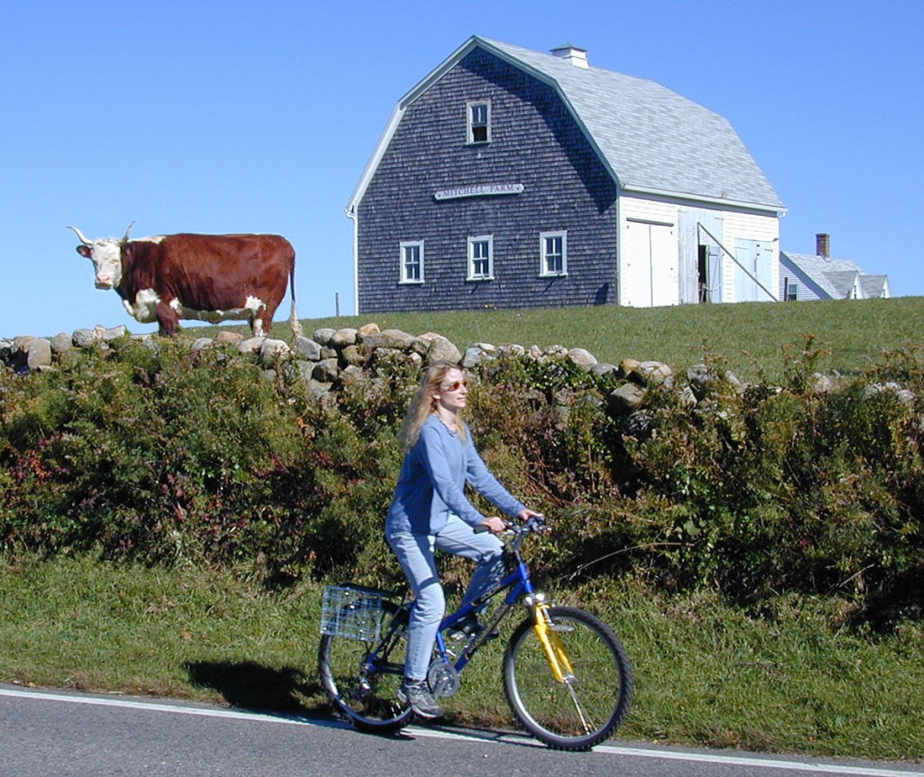 Block Island Life – Welcome to Beach Rose Bicycles – Bike Rentals Block  Island RI