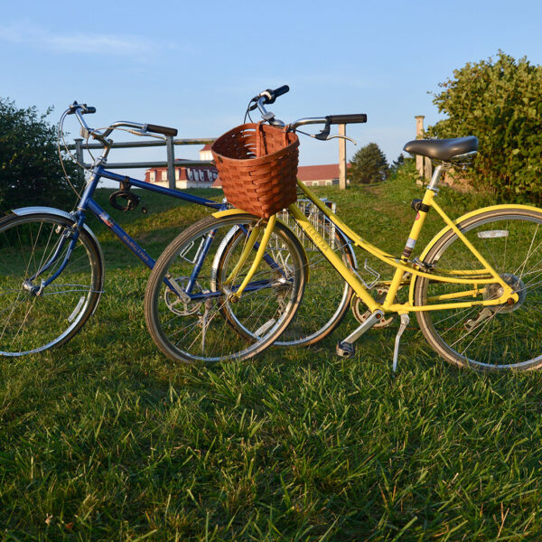 Beach Rose Bicycles - Bicycle Rentals, Block Island